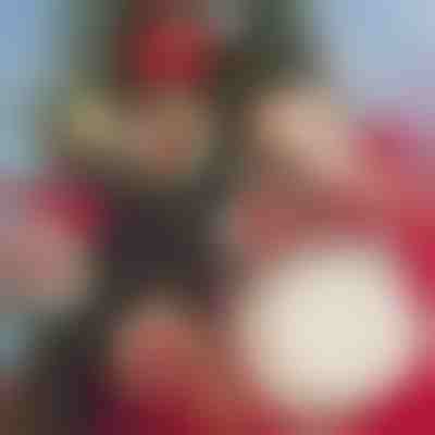 Vianočné dekorácie pre domácich majstrov (30 kusov) | ORNAMENTIFY