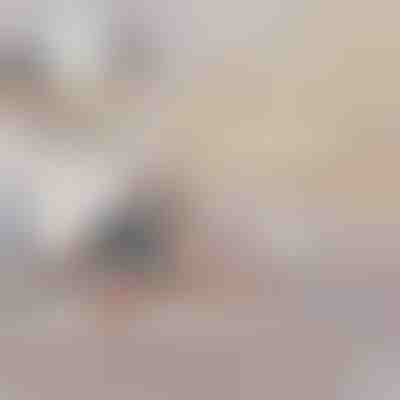 Nafukovacia rozkladacia pohovka | SOFLINKA