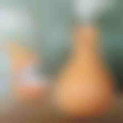 Drevený zvlhčovač vzduchu | HUMISTER