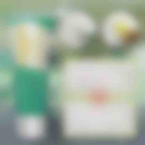 Rýchle riešenie na opravu stien | WALLFIX