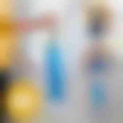 Prachová kefa s dlhým dosahom | DUSTOFF