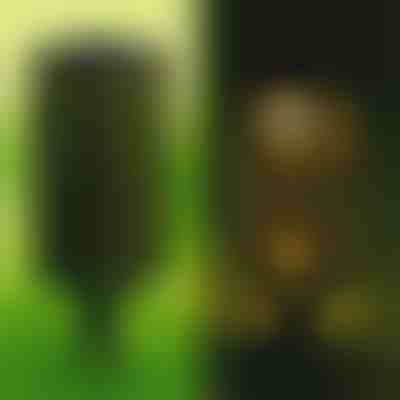 Dekoratívna solárna lampa (2 kusy) | GARDENIAS