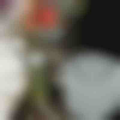 Držiaky na kvety pre úžasné aranžmány (3ks) | VASEKA