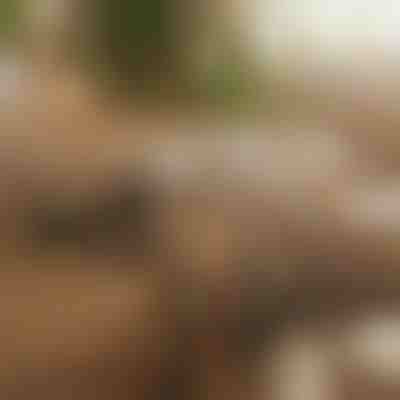 Magnetický samolepiaci organizér káblov (12 kusov) | CABLIP